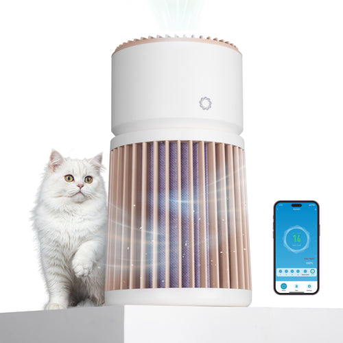 The Borough Air Purifier