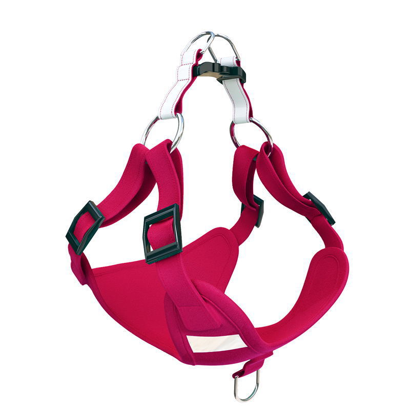 The Borough Harness